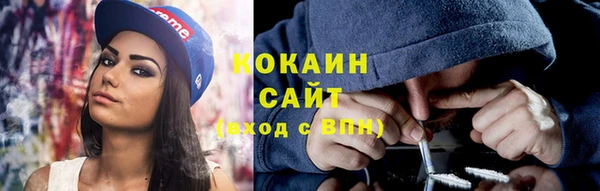 дживик Володарск