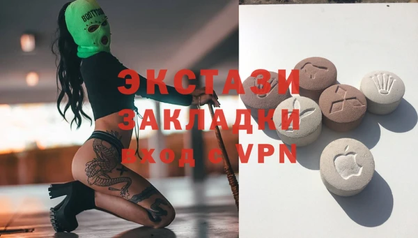 мдпв Бородино