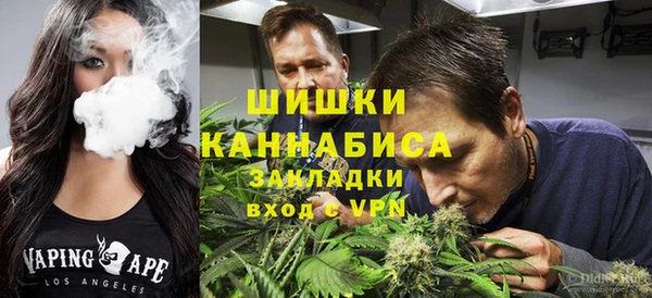 дживик Володарск