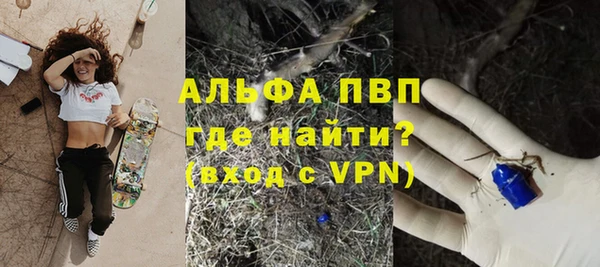 дживик Володарск