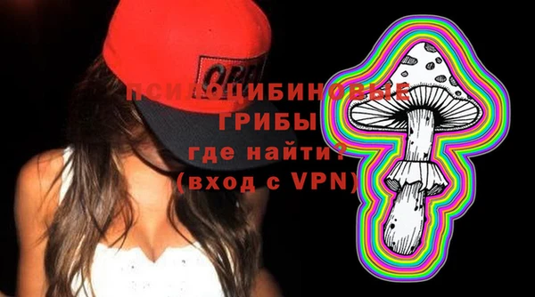 дживик Володарск