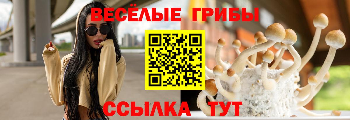 Галлюциногенные грибы Cubensis  Галлюциногенные грибы Psilocybine cubensis  Вход с VPN  Рузаевка 